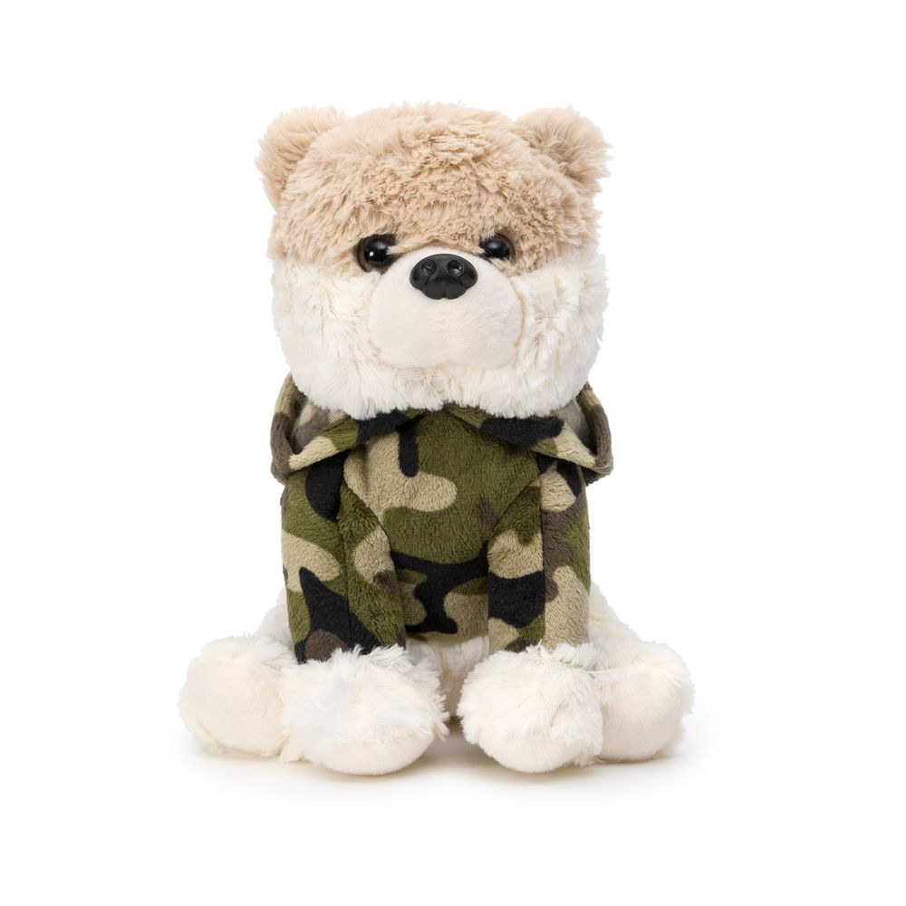 Lulu Da Pomerania Rosto De Urso Cachorrinho Lulu da Pomerânia - ÚNICO - paoladavinci